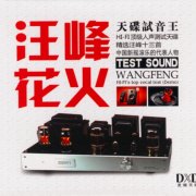 汪峰热门歌曲百度云下载-试音汪峰