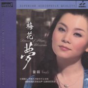 童丽经典歌曲百度云下载-梅花梦