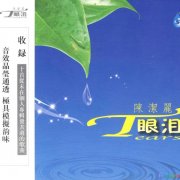 陈洁丽经典专辑歌曲百度云下载-眼泪