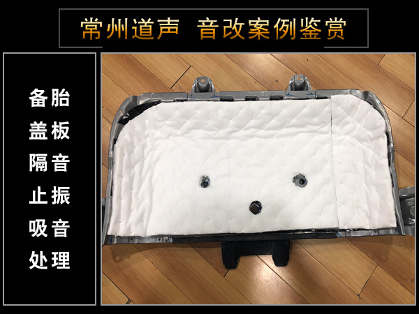 常州道声本田艾力绅汽车音响改装魔乐歌